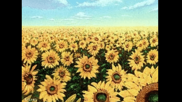 MTG】コレクションにおすすめな基本土地カード「APACランド」｜CUBEの部屋