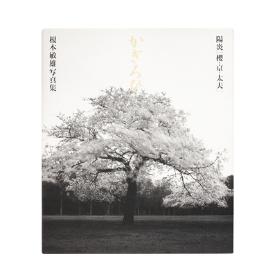 黙想録 - 横谷宣 | shashasha 写々者 - 写真集とアートブック