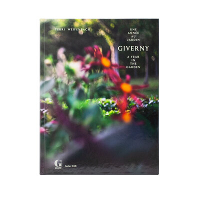 テリ・ワイフェンバック - Terri WEIFENBACH | shashasha 写々者