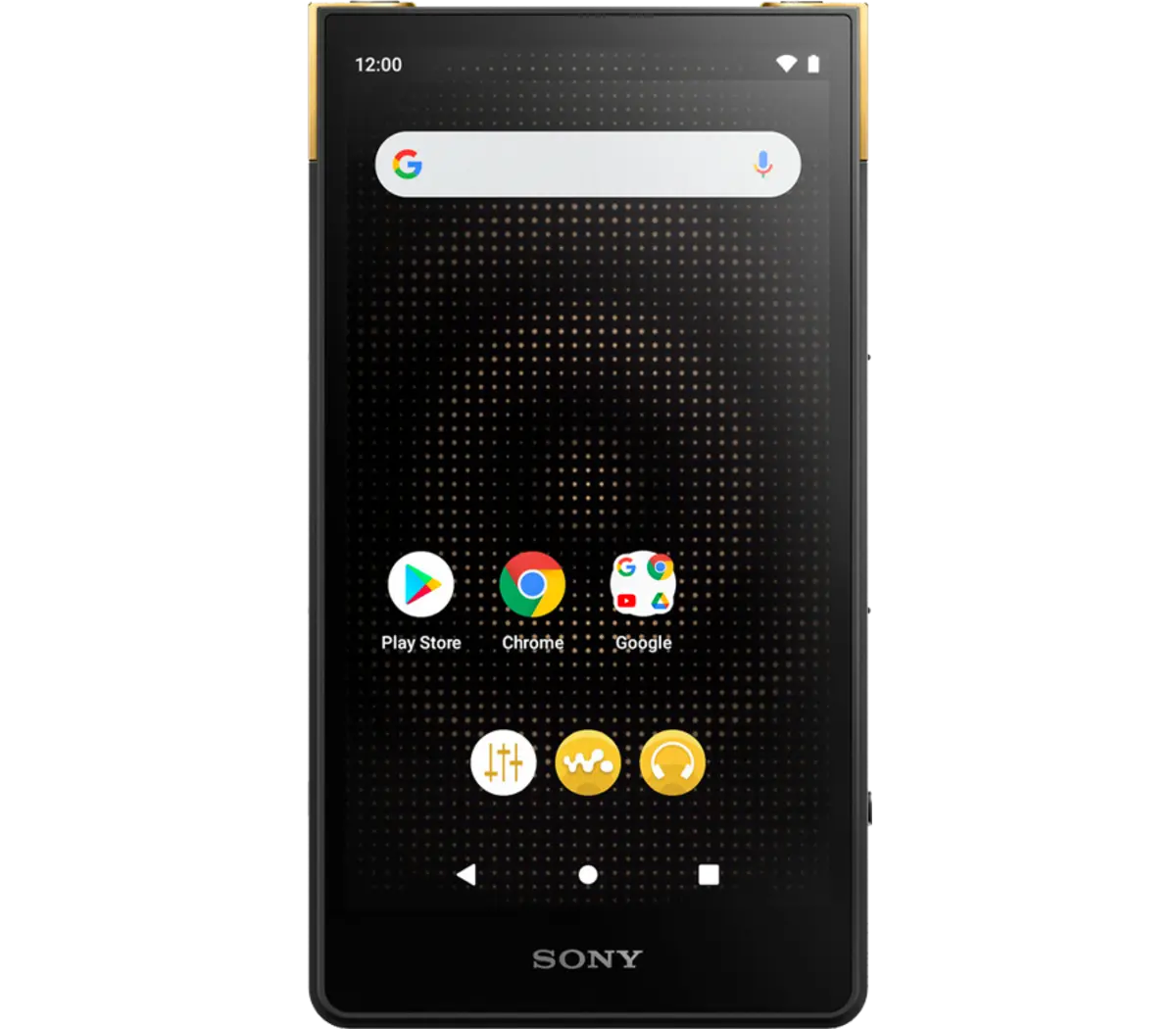 Sony Digital Media Player| NW-ZX707