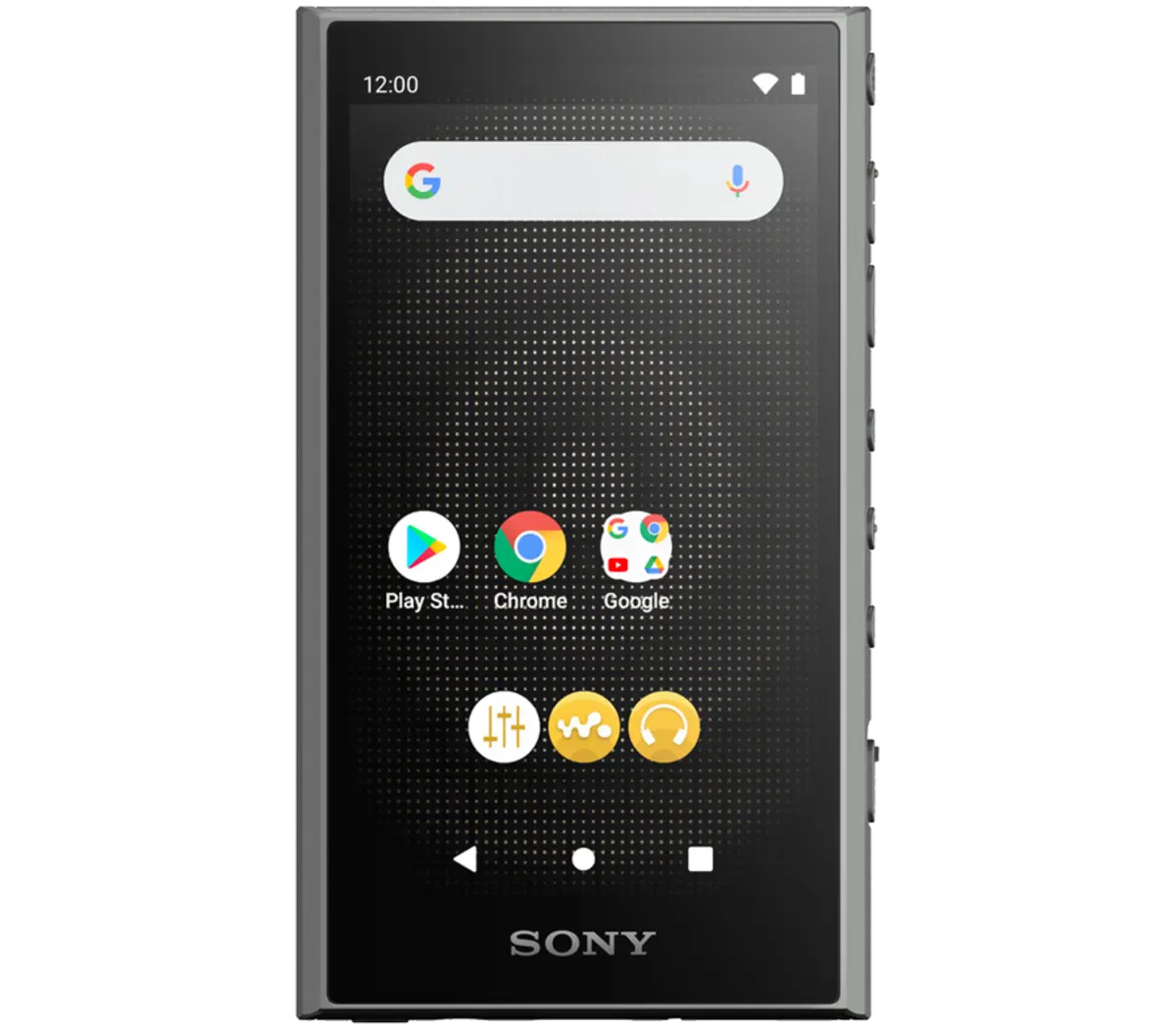 Sony Digital Media Player | NW-A306