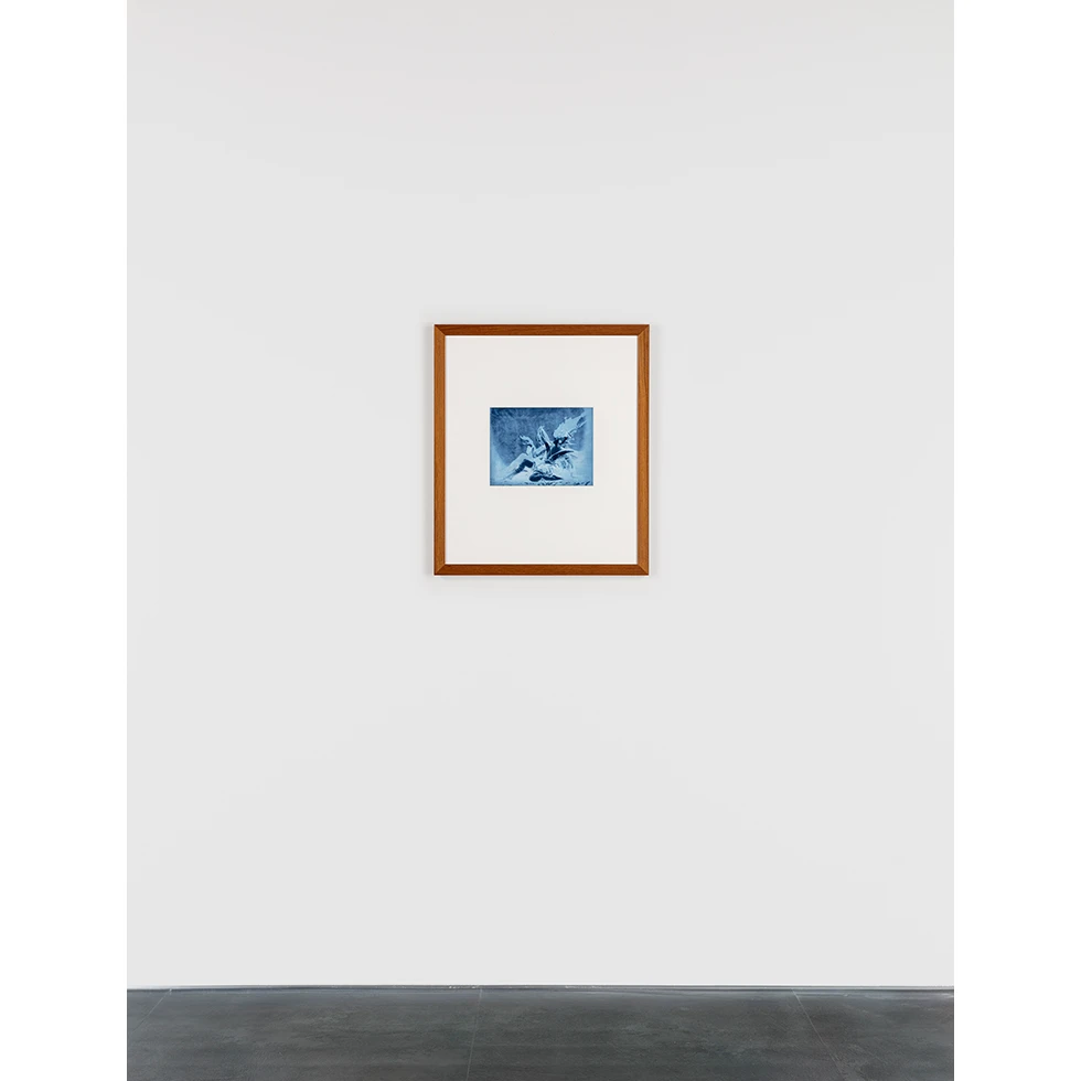 UESHIMA MUSEUM COLLECTION