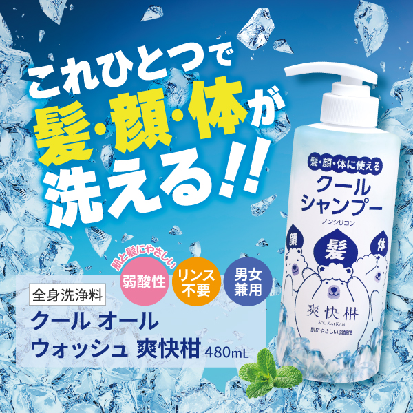 8554 【初回限定】 クール オールウォッシュ 爽快柑 480mL 【全身洗浄