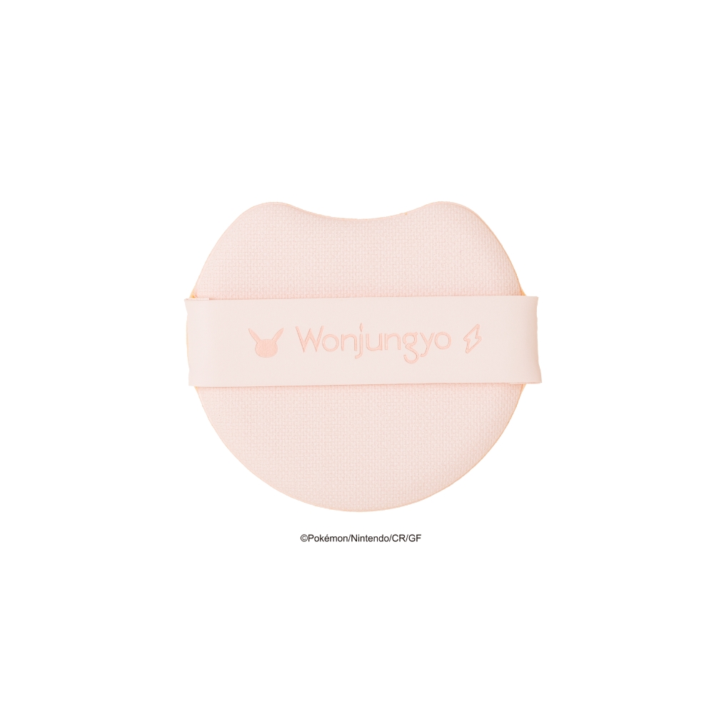 ポケモンコラボデザイン】プロ パーフェクティング クッション カバー