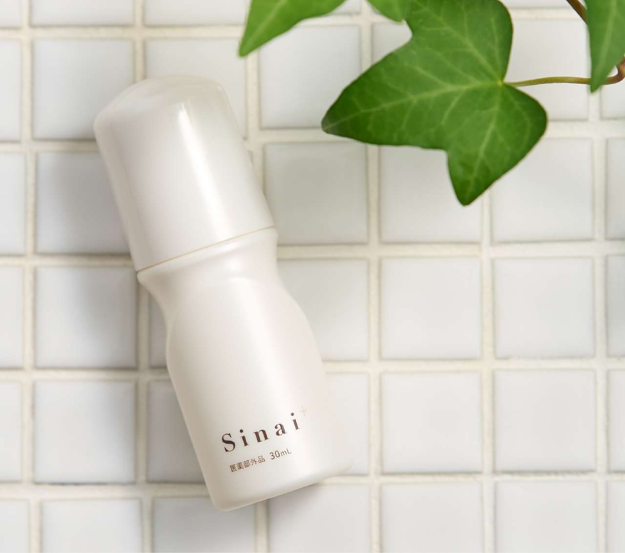 Sinai単品_公式について│HAN.d