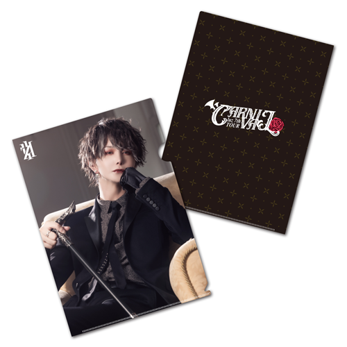 GOODS INFORMATION | luz 7th TOUR -CARNIVAL-