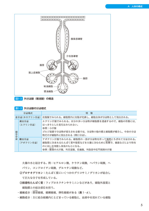 サクセス管理栄養士・栄養士養成講座 生化学 第6版 – 第一出版株式会社