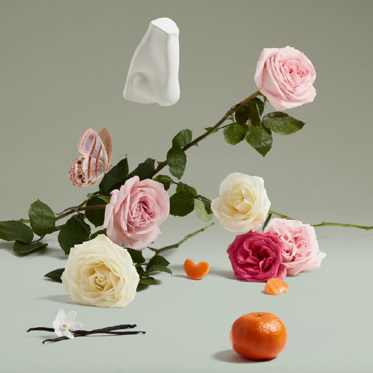 ザ コヴェテッド デュシェス ローズ オードパルファム: ペンハリガン