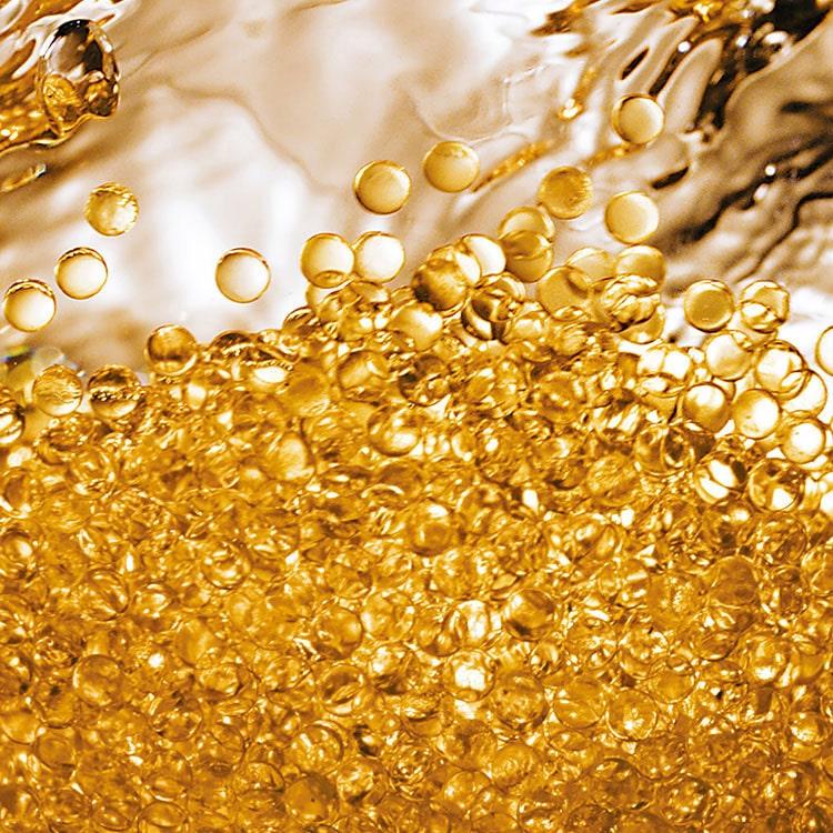 オーキデ アンペリアル ゴールドノビレ ザ ゴールデッセンス