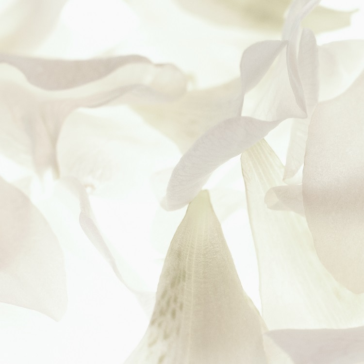 エクラ プルミエ フォーム クレンザー():CHANEL(シャネル)の通販