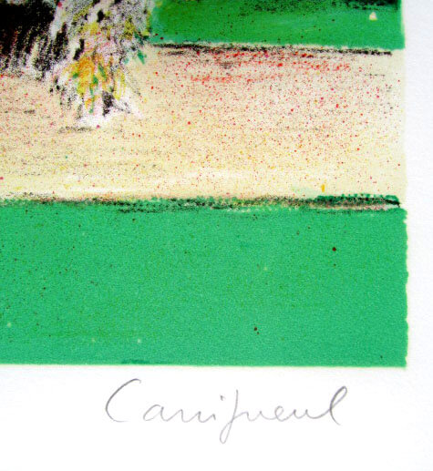 カシニョール 犬の散歩