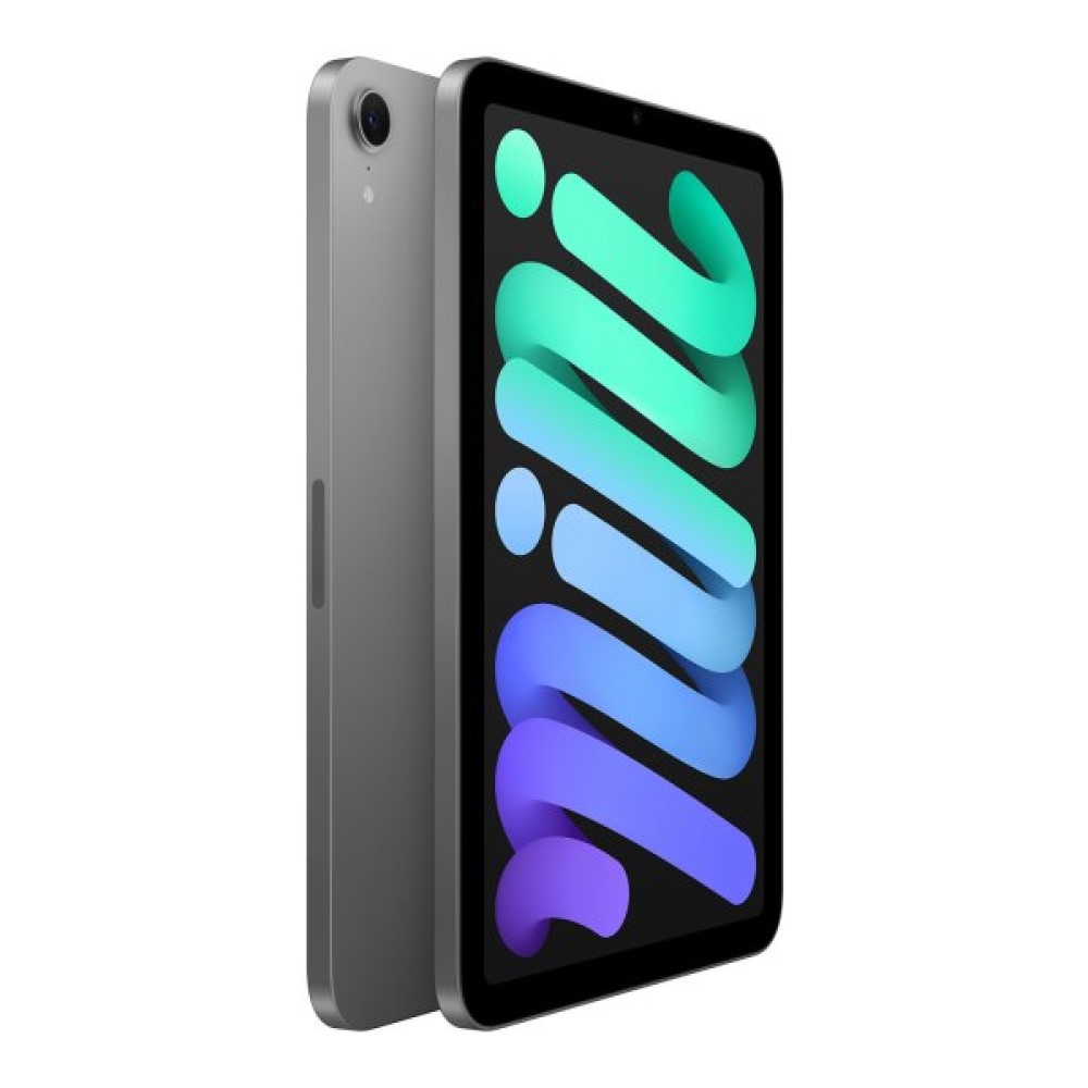 Buy Apple iPad mini (7th Gen) 128GB Wi-Fi - Space Gray