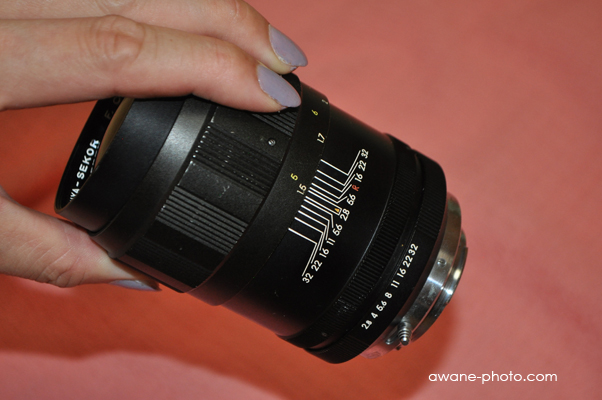 謎のマミヤセコール～撮影日記