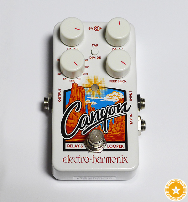 ルーパーとしても使える！Electro Harmonixの多彩なディレイ『Canyon