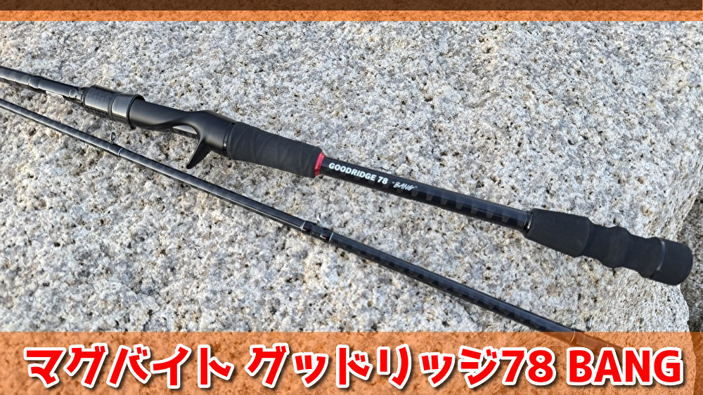 アコウ攻略は感度が命！キムシュン監修ロッドで攻撃的に攻めるバランス