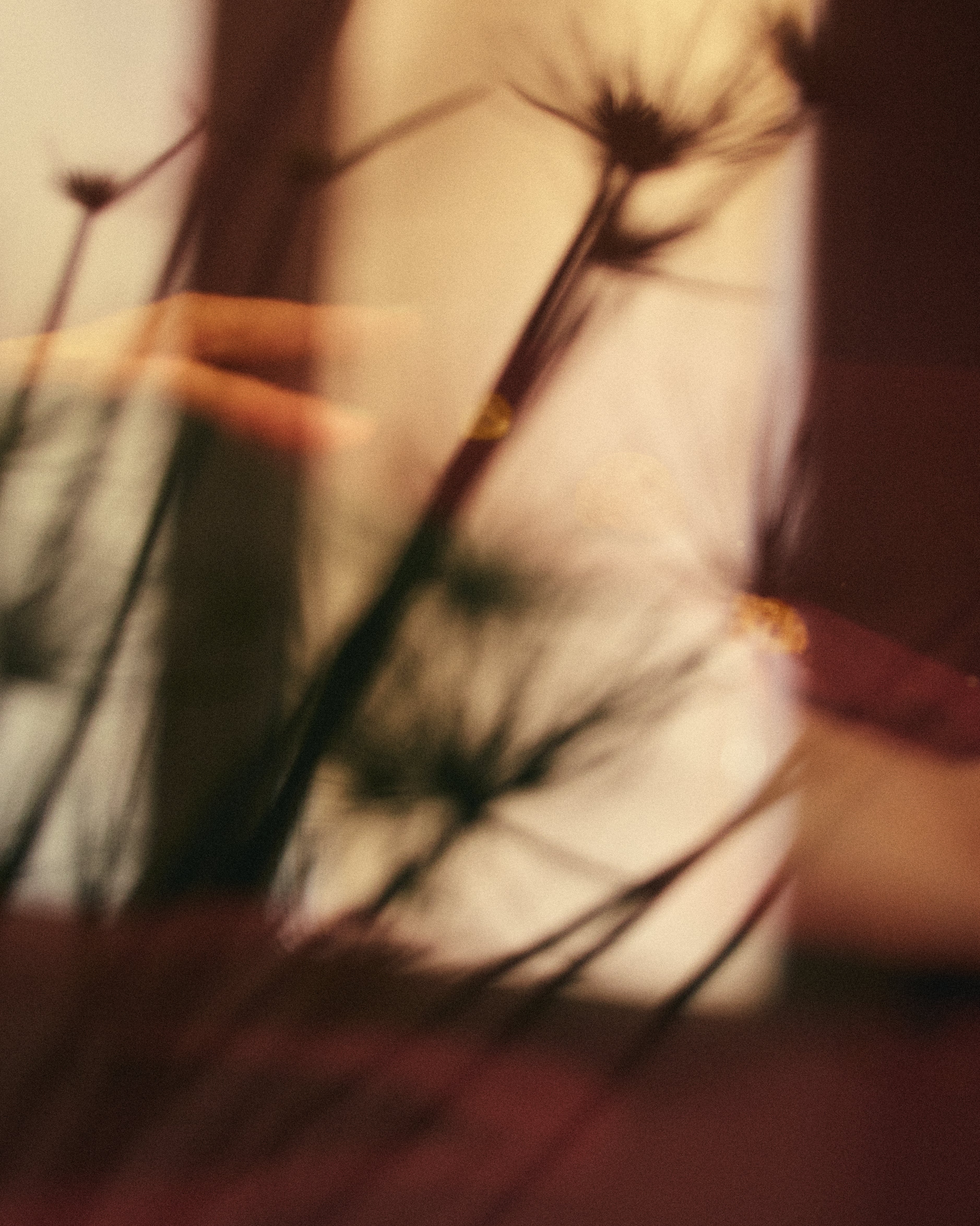 J.R. フレグランス - ドルセー ジャパン (d'Orsay Japan) | パルファム