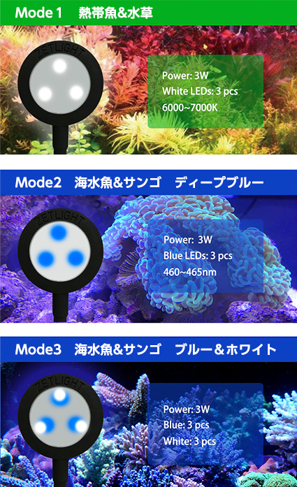 ZETLIGHT｜LSS Laboratory
