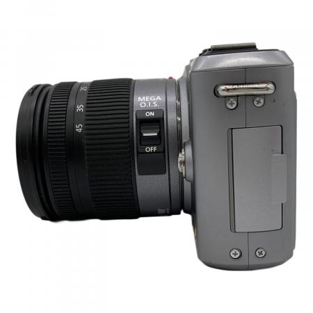 Panasonic (パナソニック) LUMIX GF1 LUMIX G LENS KIT DMC-GF1