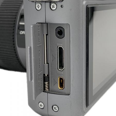 Panasonic (パナソニック) LUMIX GF1 LUMIX G LENS KIT DMC-GF1