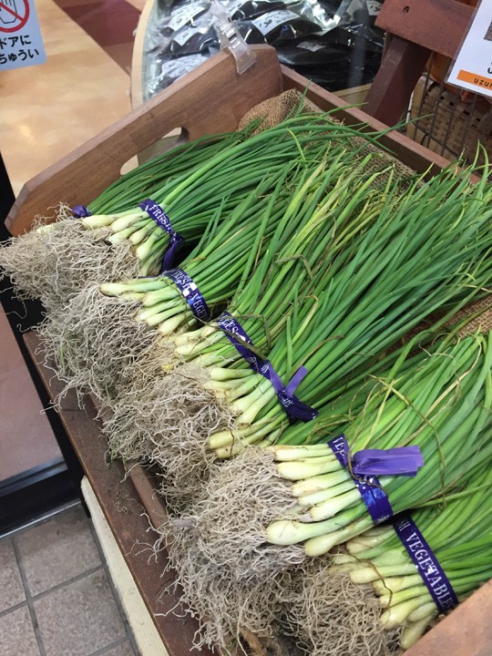 サラダにぴったりの淡路島たまねぎの苗、販売中！ | 【公式】道の駅