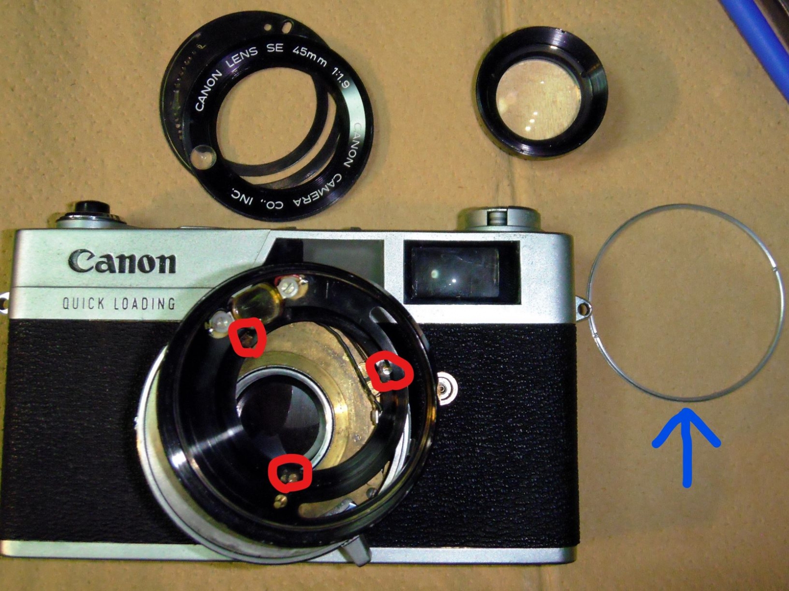 Canon Canonet QL19 ジャンクカメラ分解修理: ねこの空中散歩