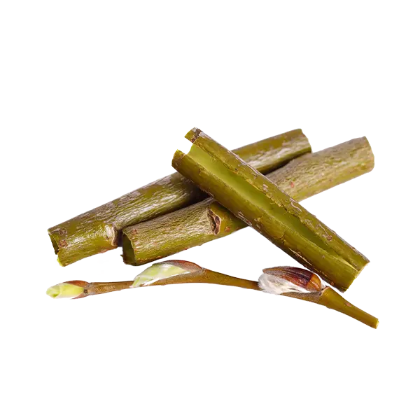 ソーマダーム+AWE – 一般社団法人 縁rac