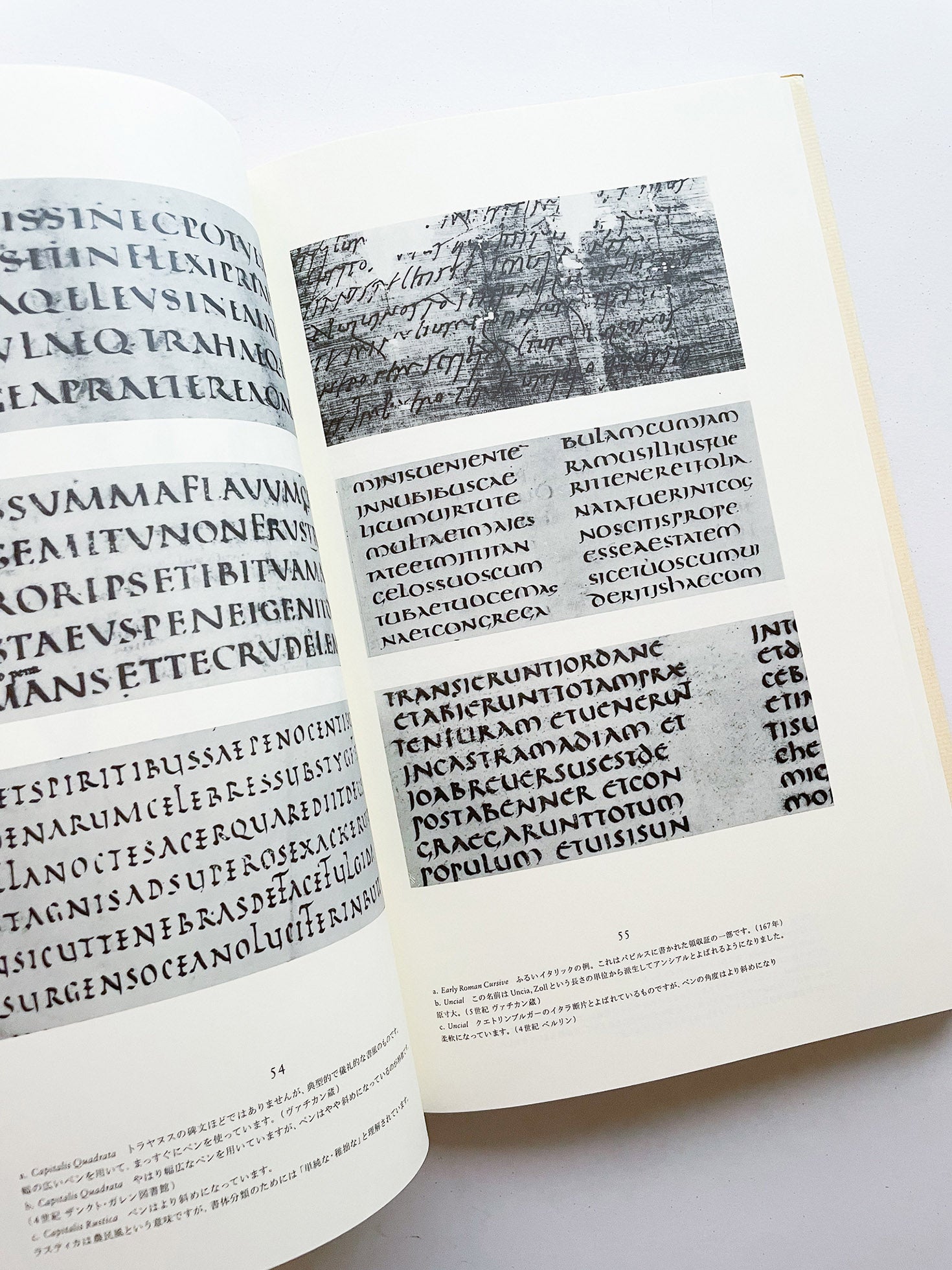 書物と活字 ヤン・チヒョルト 朗文堂 ヤン・チヒョルト書物と活字朗文堂