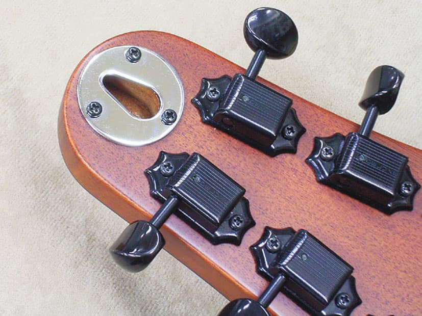 BambooInnCharプロデュース ニューコンセプトギター～すべての音楽人の