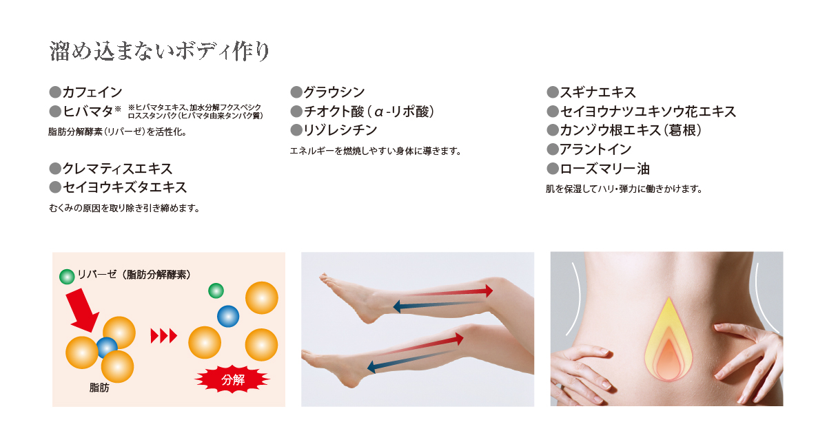 ESTLAB SHOP / ルアンジュ・ド・ボーテ セリージェル(スベルトタイプ) 300g