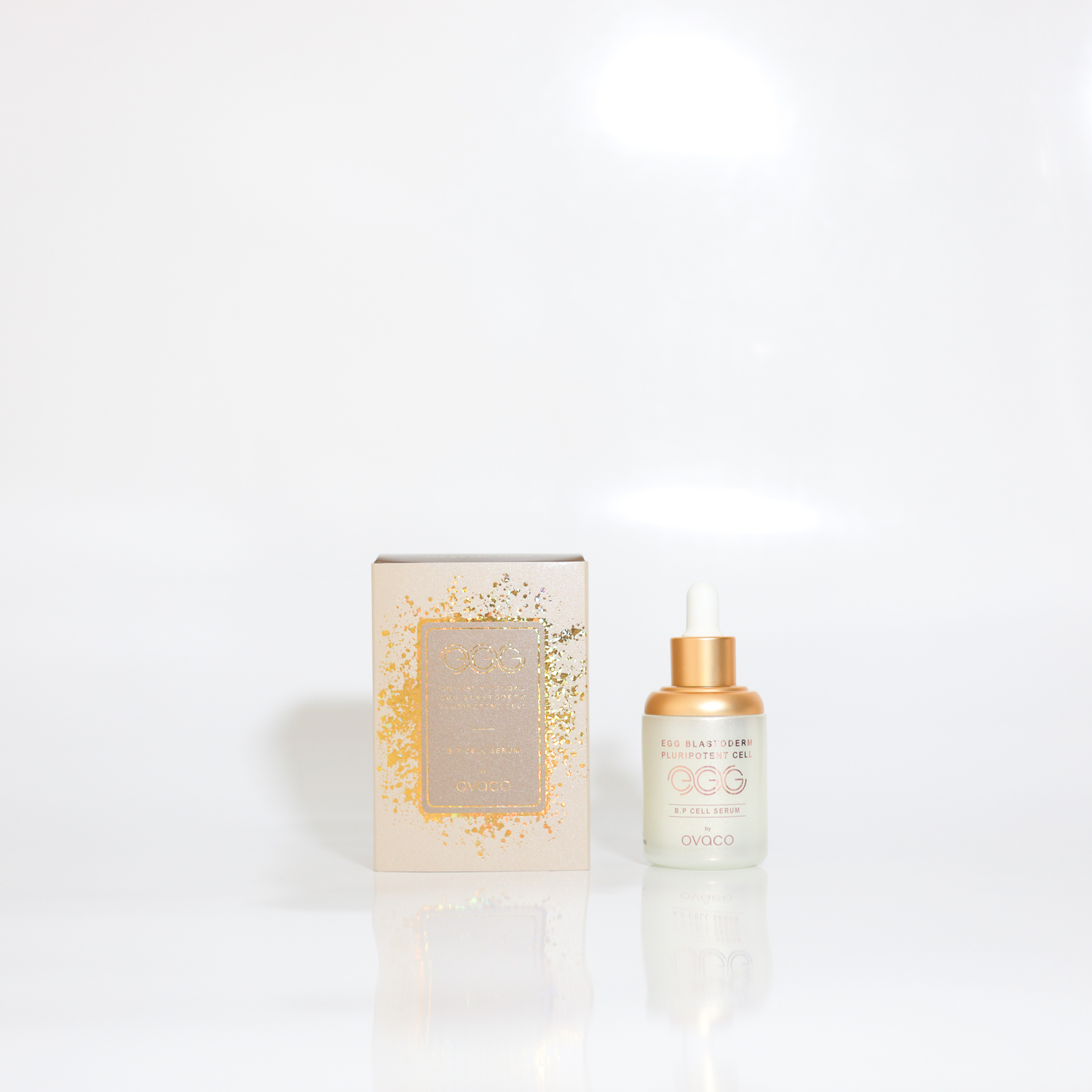 オバコ セラム - 株式会社エスター・アール・フード