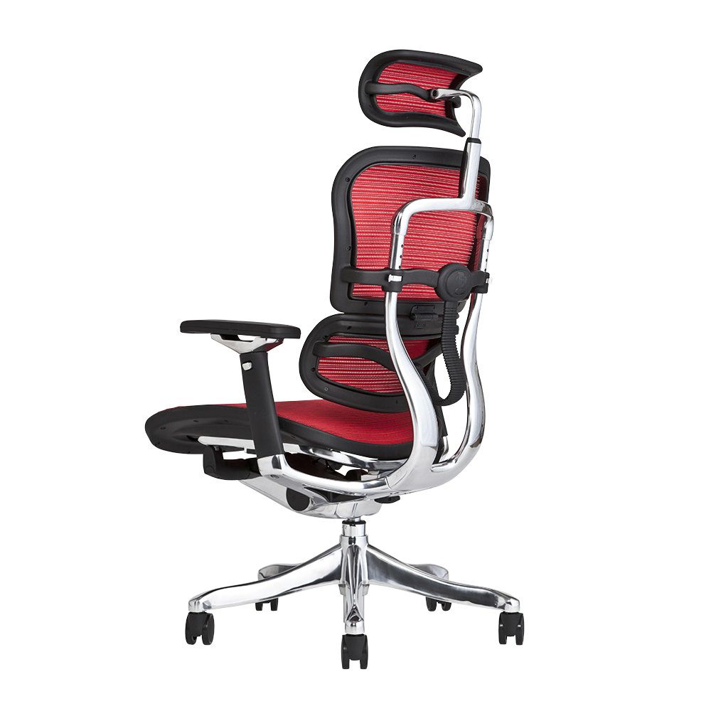 エルゴヒューマン プロ / ヘッドレスト有り【メーカー組み立て完成品