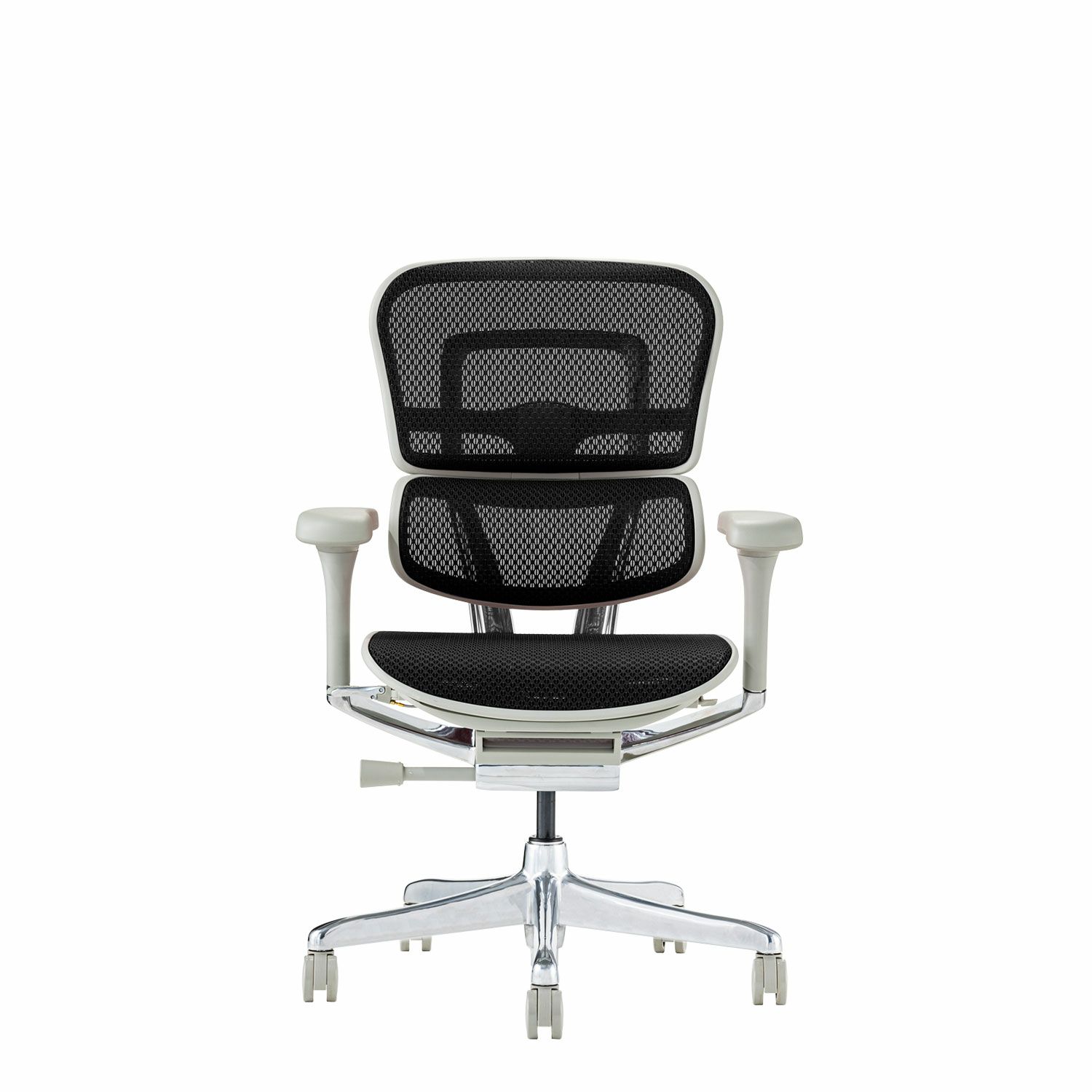 000000000309-01-m.jpg?t=