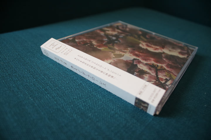 Camino de Flores | El Búho