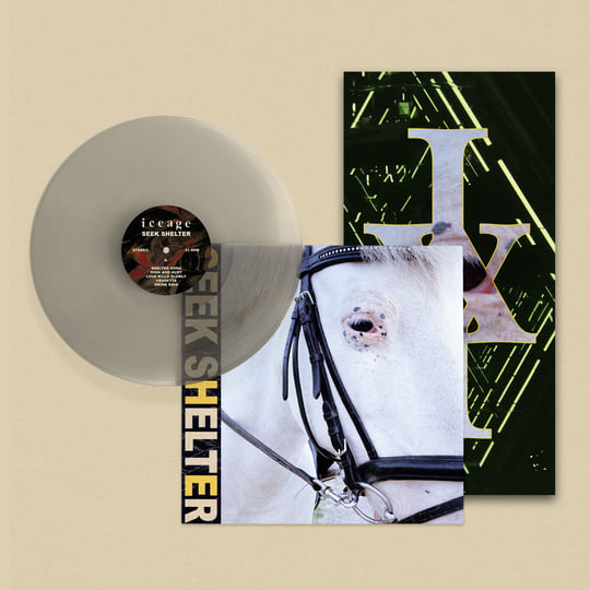 Seek Shelter | Iceage