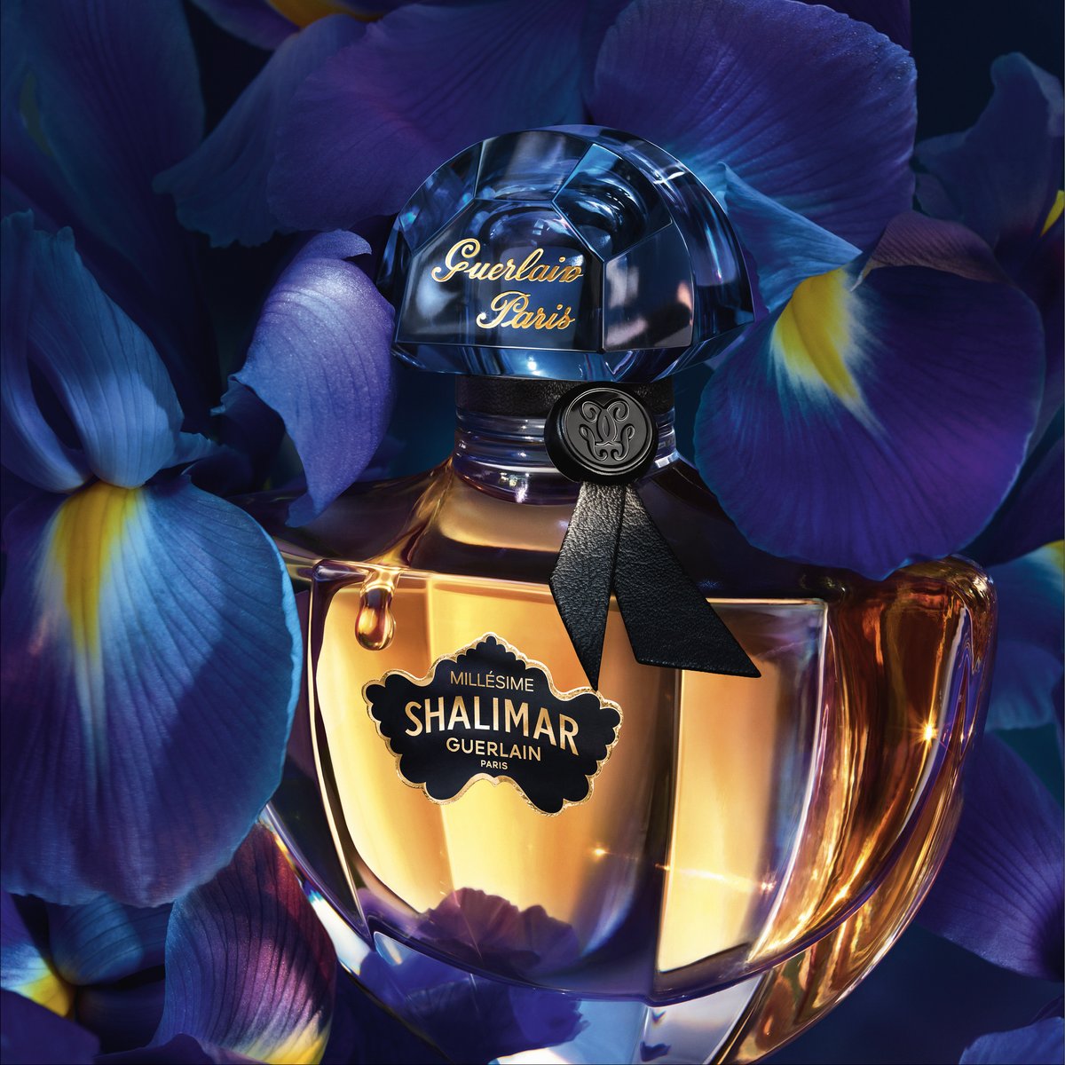 guerlain-shalimar-20230314_002.jpg