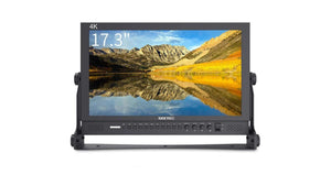 SEETEC P173-9HSD 17.3