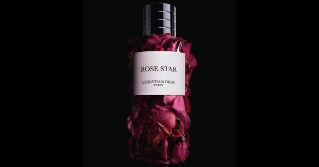 Rose Star Dior 香水- 一款2025年新的中性香水