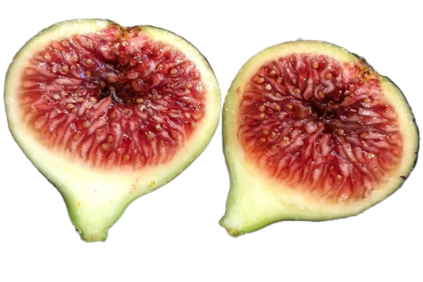 Black Madeira ブラックマディラ の特徴・味・耐寒性と本物と偽物