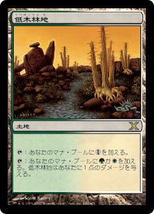 買取：《低木林地/Brushland》[10ED] 土地R | 日本最大級 MTG通販