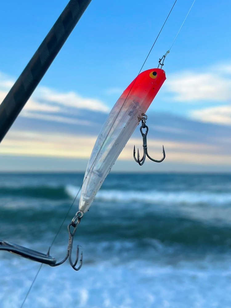 ヒラメシーズン】サーフで連続ヒット！上で『ヒラスズキ』、下で