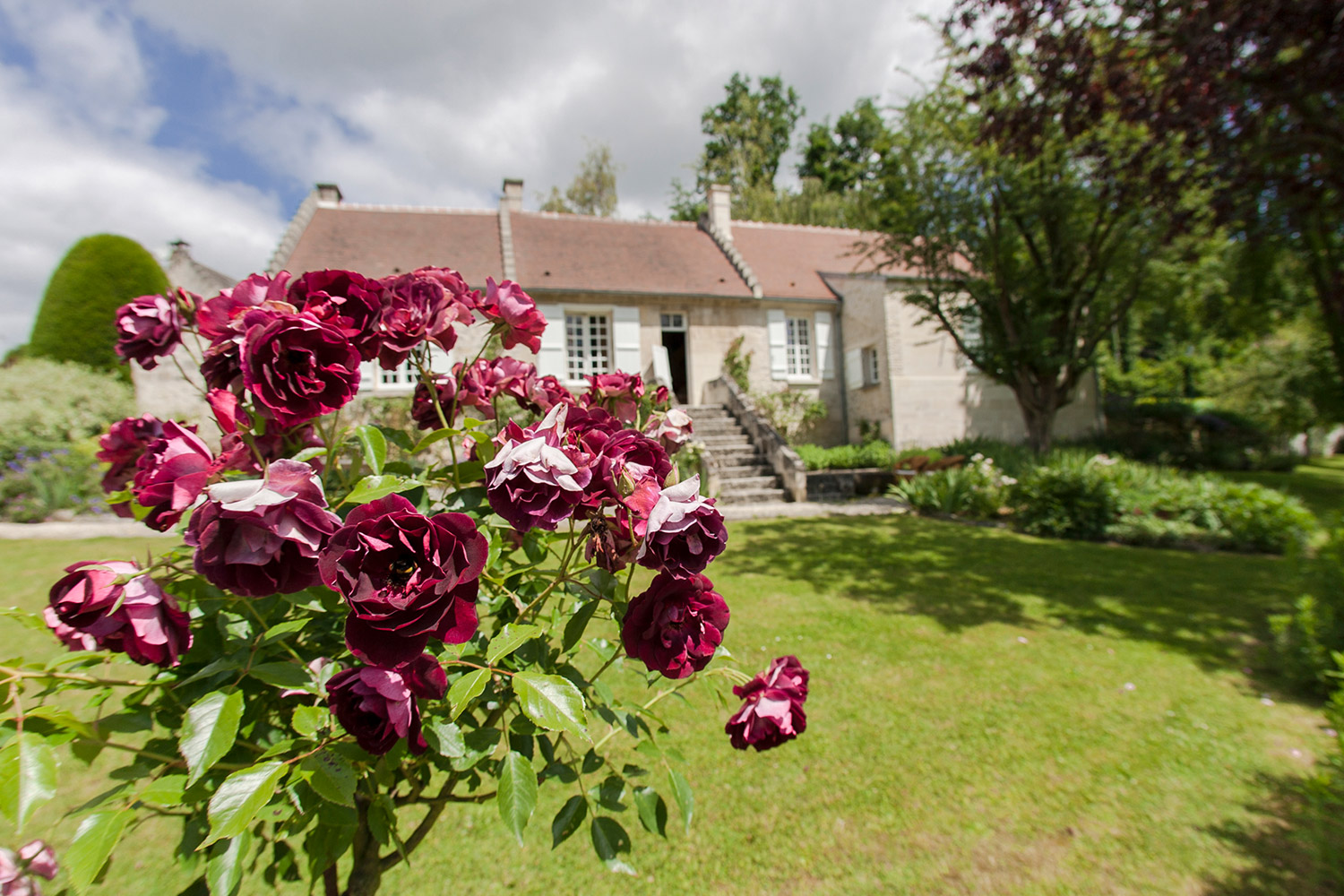 ヴィーヴ・ラ・マリエ オードパルファン - 株式会社フォルテ