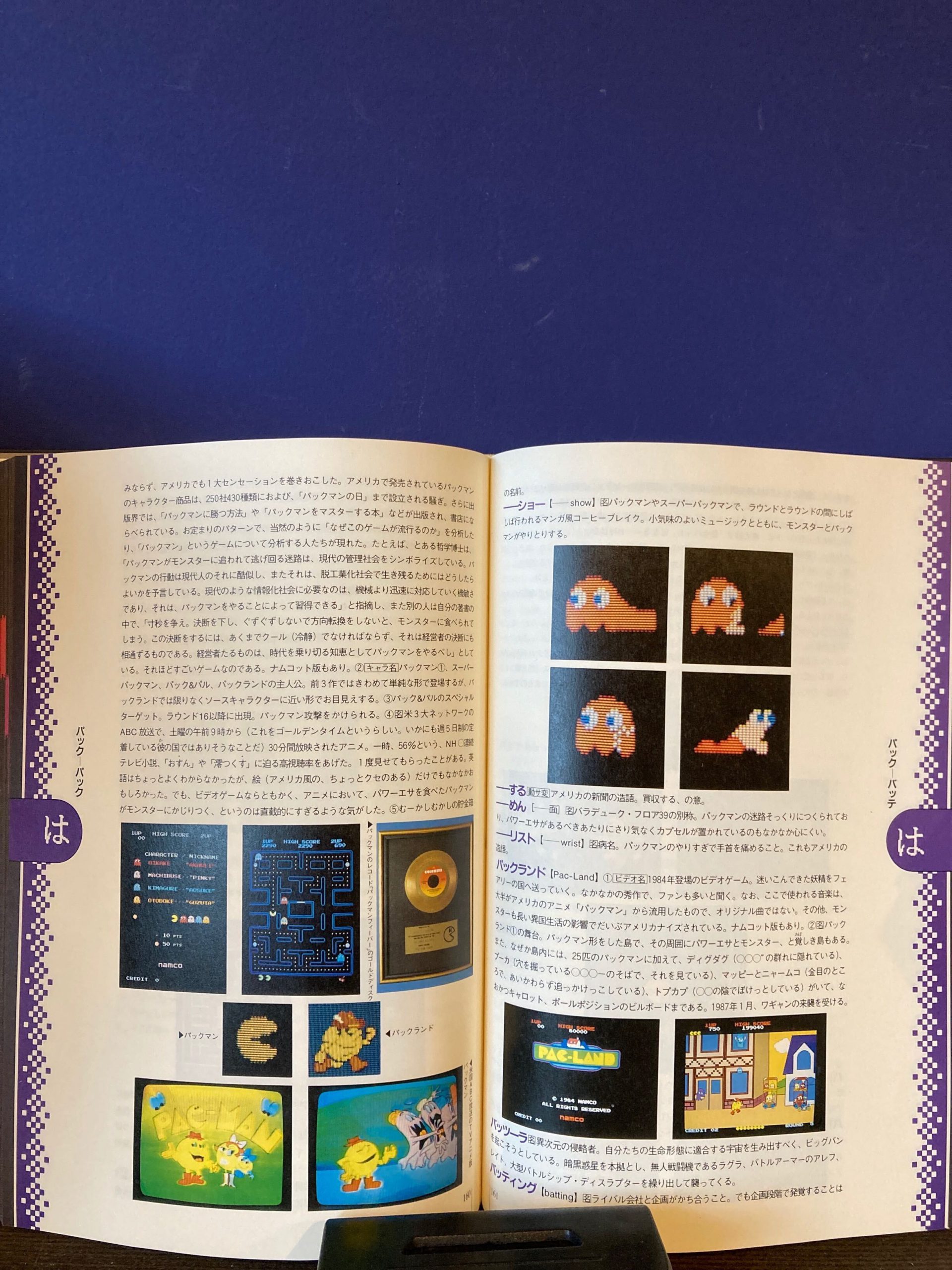 初版 新明解ナム語辞典 豪華限定版 2026年最新】新明解ナム語辞典の