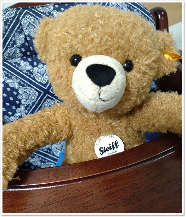 シュタイフ テディベア ベビーマサコ（BABY MASAKO) 23cm EAN652516