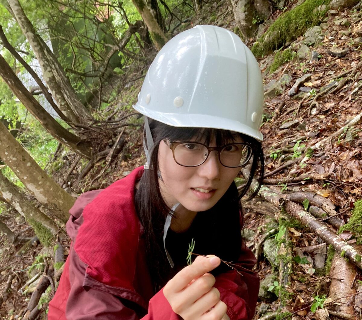 林床での菌類の生活に思いを馳せる／How are the residents of hero