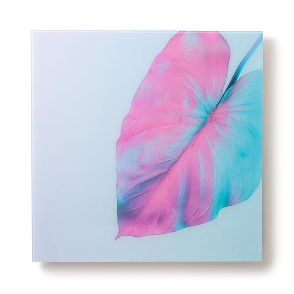 アクリルアート モンステラB | Francfranc（フランフラン）公式通販