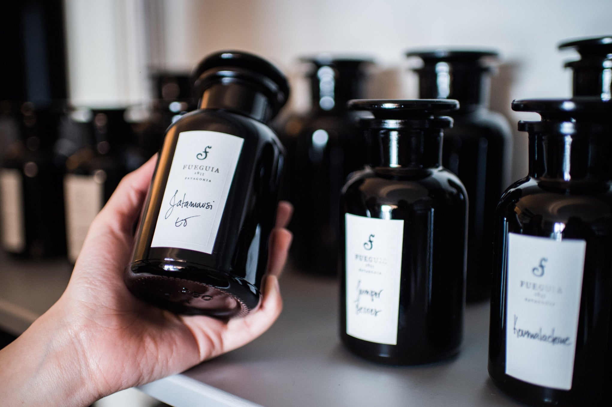 FUEGUIA 1833 | すべてのコレクション – Tagged 