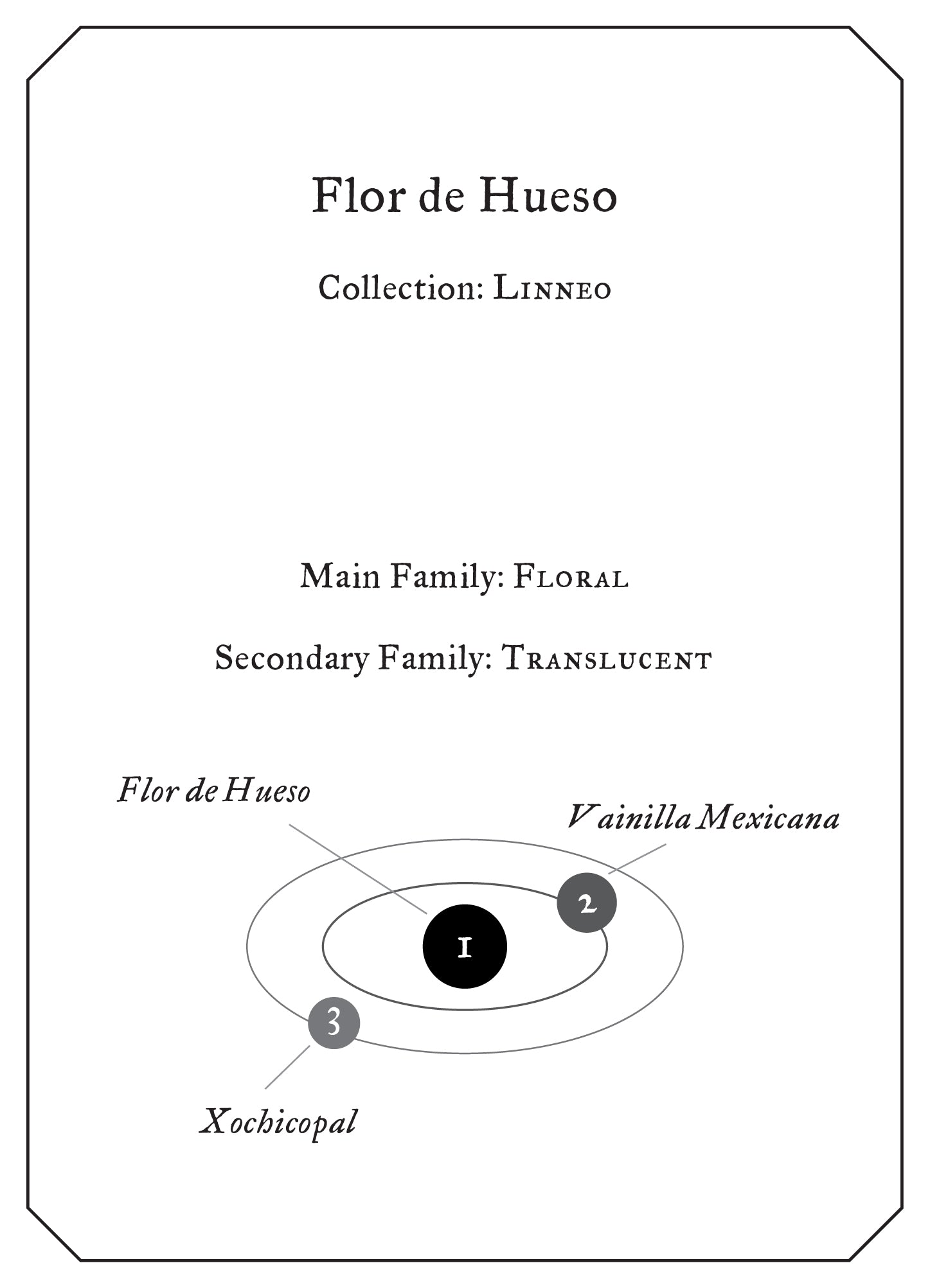 FUEGUIA 1833 | 「フロール デ ウエソ」全店発売 – FUEGUIA 1833 Japan