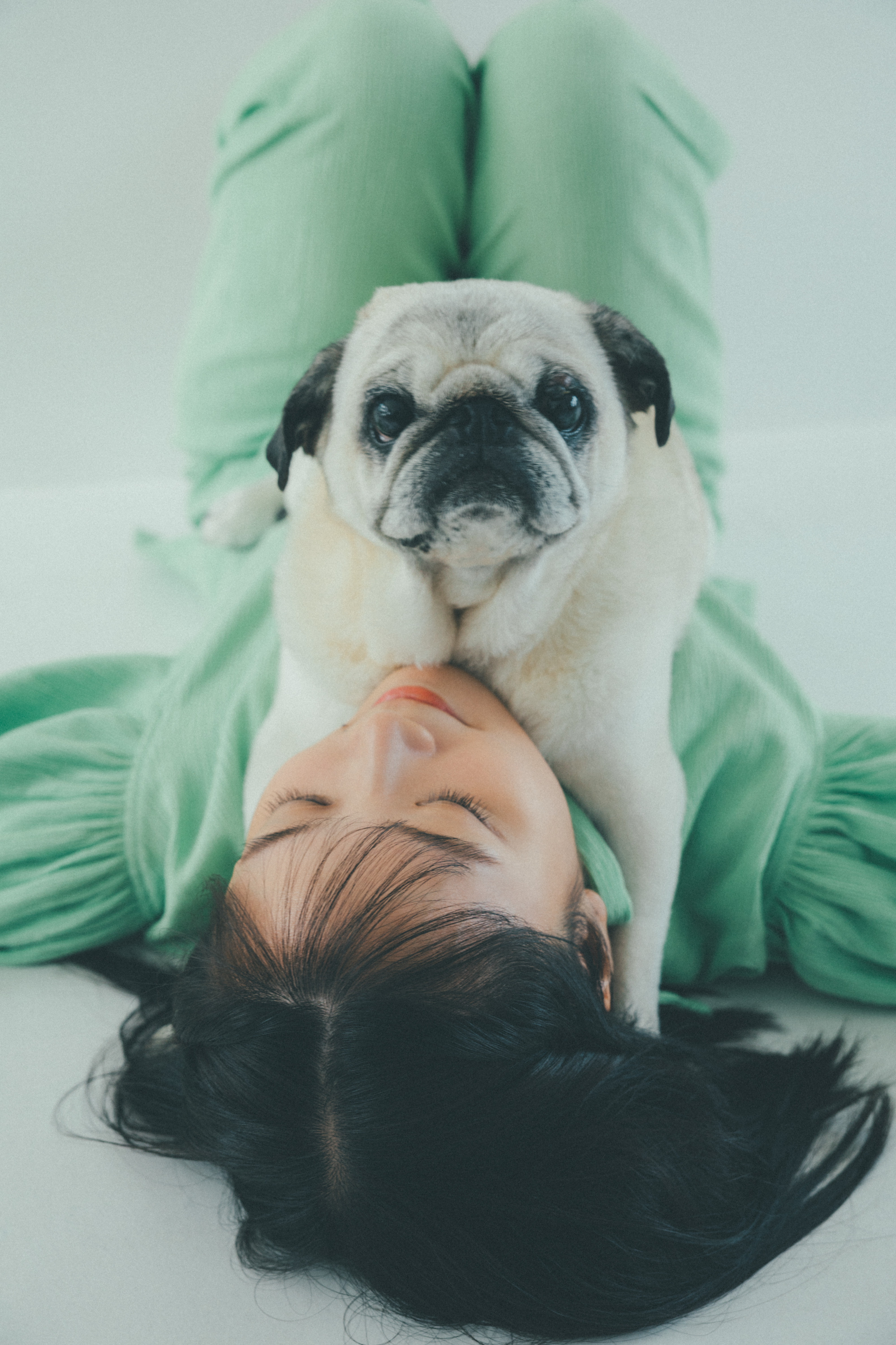 MEMBER'S限定】日めくりカレンダー | 深川麻衣 | 深川麻衣 official