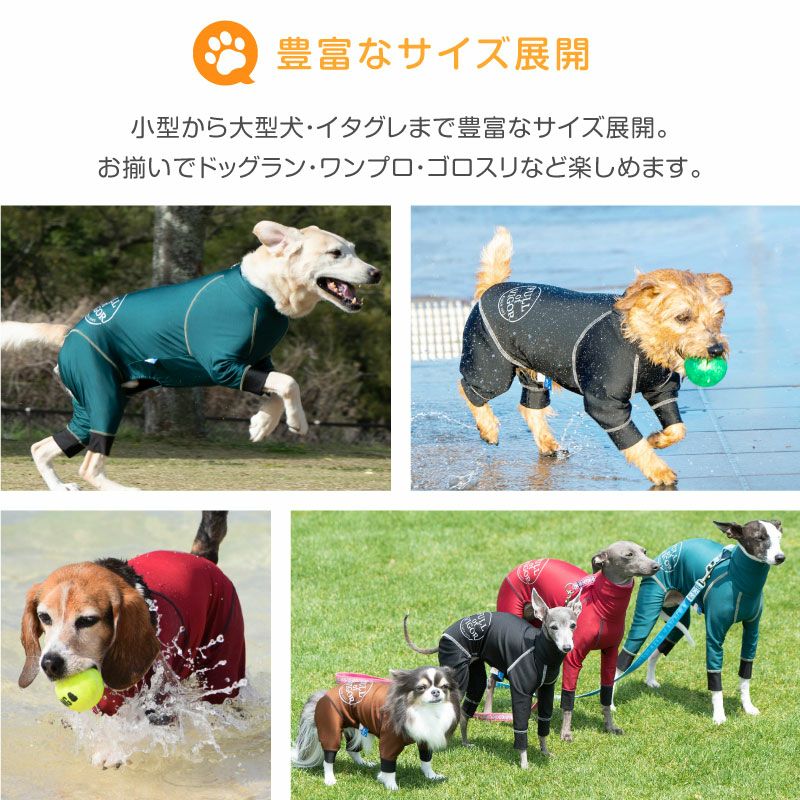 イタグレ用 伸びて 着せやすい ドッグプレイ(R) サークル プリント 撥