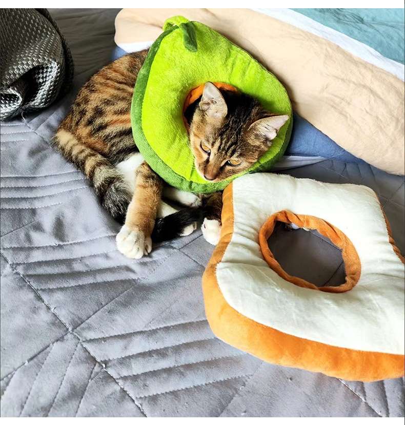 猫服 猫 エリザベスカラー | 食パン風ネコ用首輪 エリザベスカラー|猫